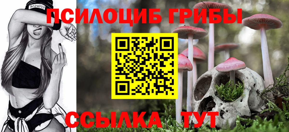 Галлюциногенные грибы GOLDEN TEACHER Хасавюрт