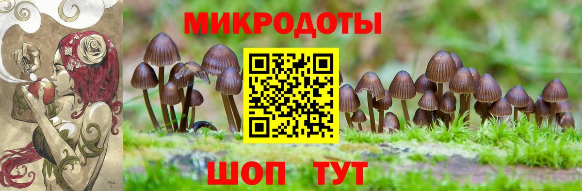 Галлюциногенные грибы ЛСД  Галлюциногенные грибы Cubensis  Хасавюрт  Вход с VPN 